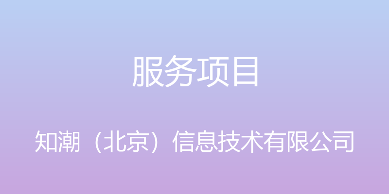 服务项目 - 知潮（北京）信息技术有限公司